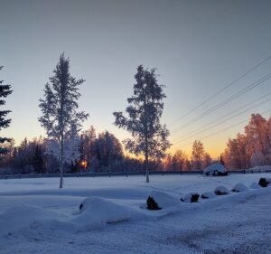 Soccer Field image 2