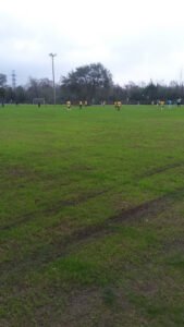 Soccer Field image 1
