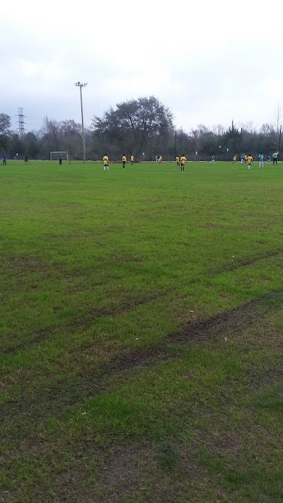 Soccer Field image 1