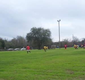 Soccer Field image 2