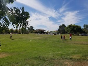 Soccer Field image 1
