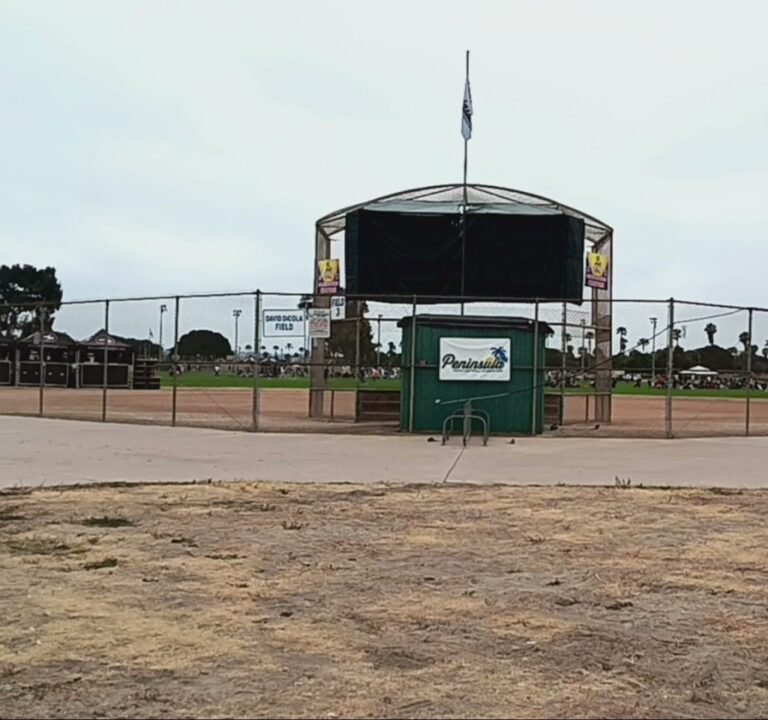 Soccer Field image 4