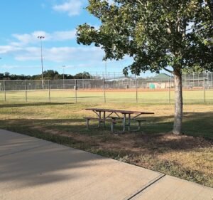 Soccer Field image 2