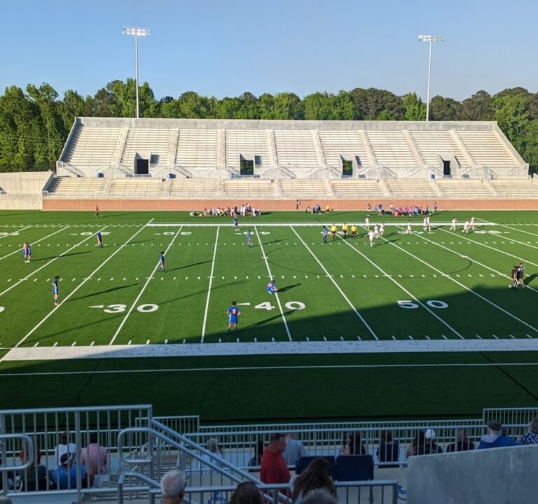 Soccer Field image 2