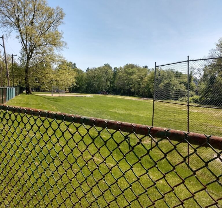 Soccer Field image 2