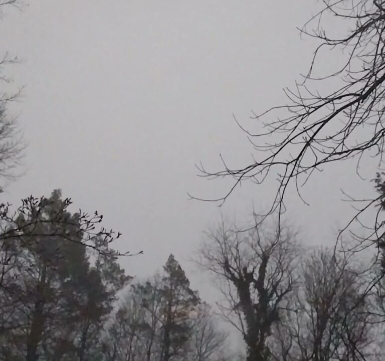 Soccer Field image 3