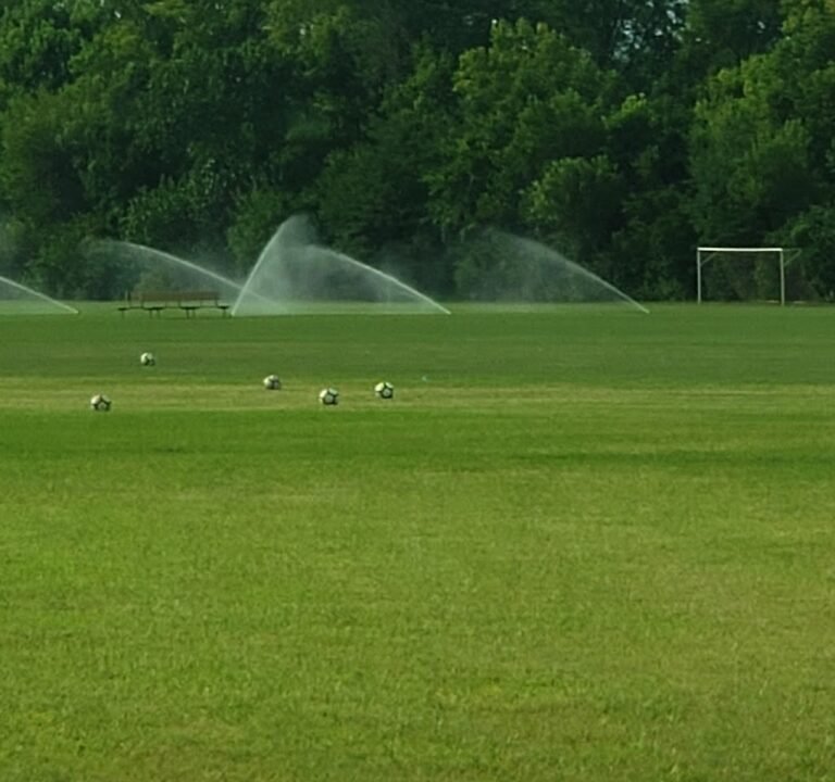 Soccer Field image 2