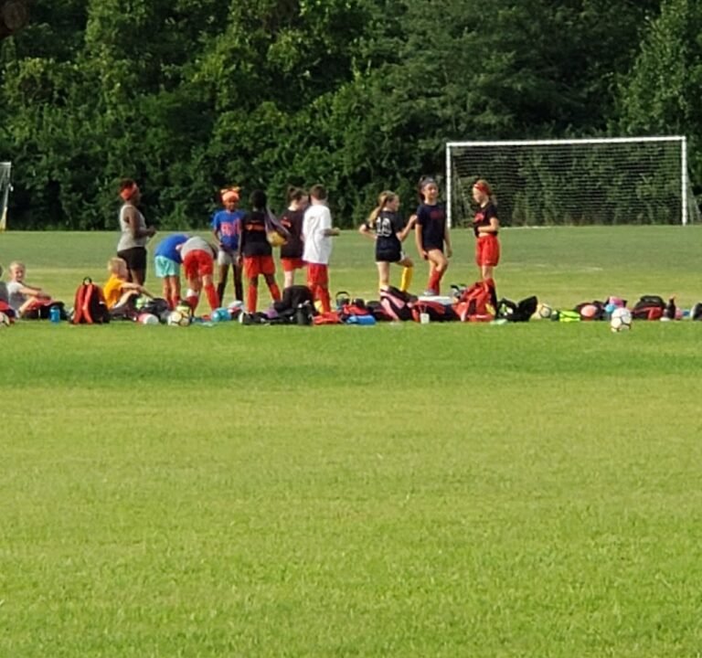 Soccer Field image 3