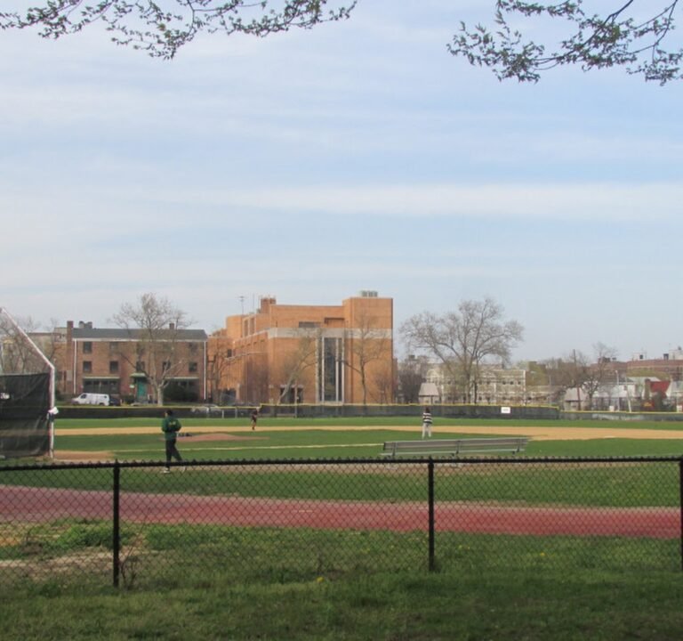 Soccer Field image 2