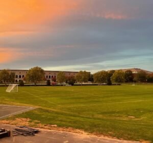 Soccer Field image 2