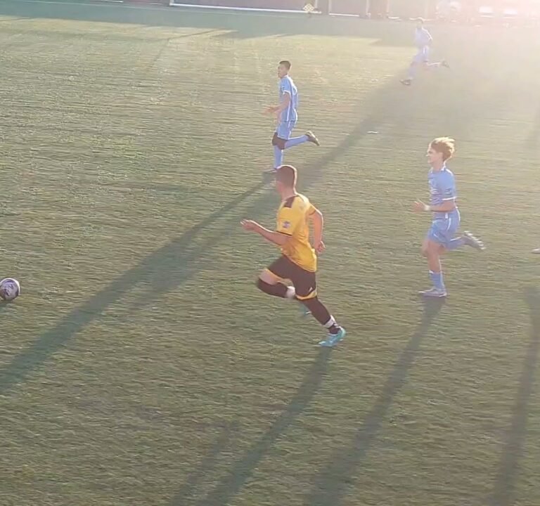 Soccer Field image 3