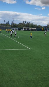 Soccer Field image 1