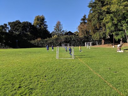Soccer Field image 1