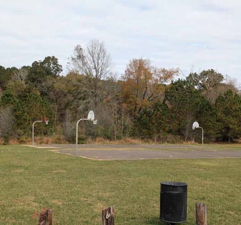 Soccer Field image 2
