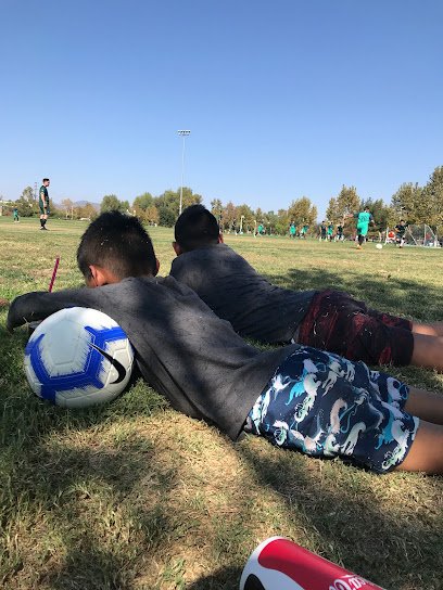 Soccer Field image 1