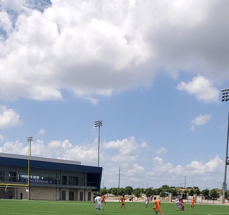 Soccer Field image 2