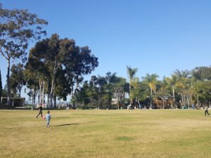 Soccer Field image 1