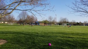 Soccer Field image 1