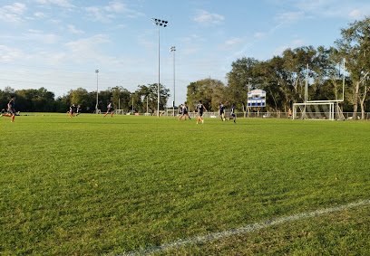 Soccer Field image 1
