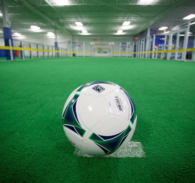 Soccer Field image 3