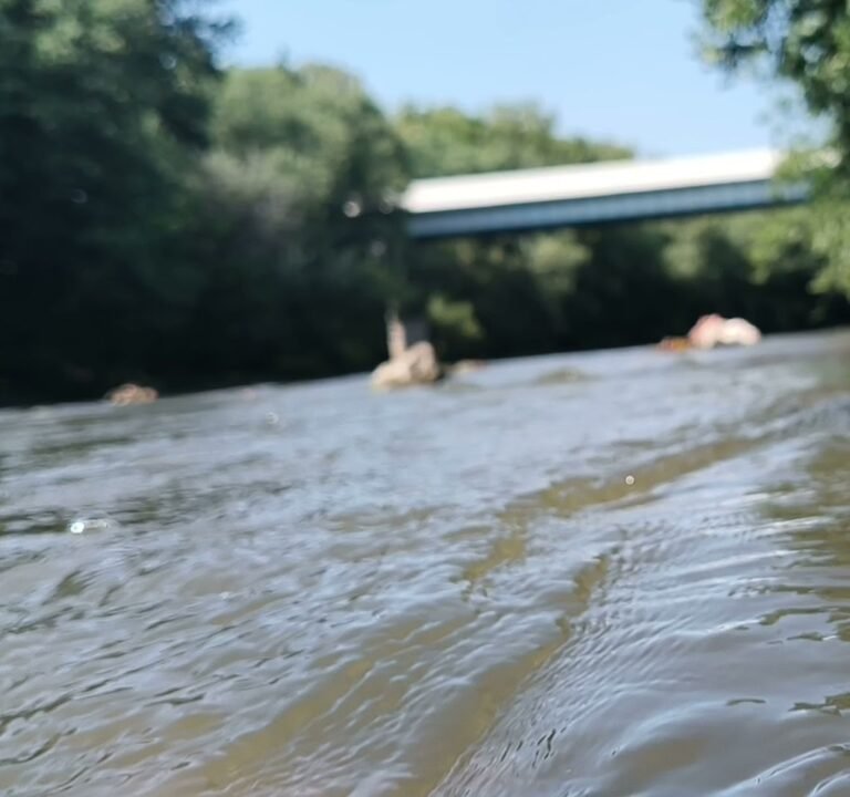 Soccer Field image 4