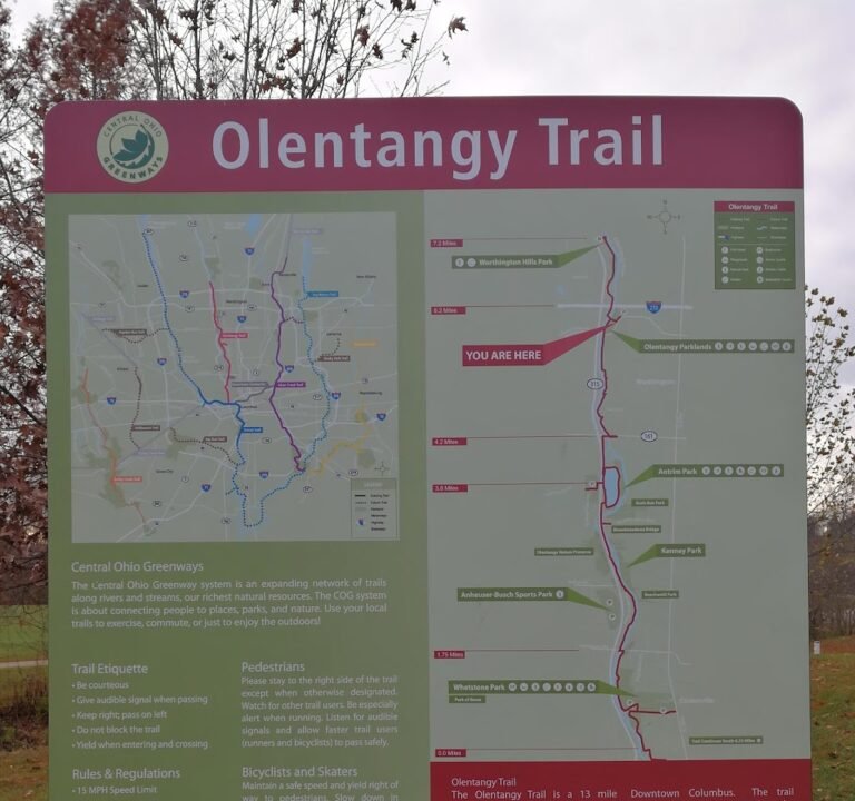 Soccer Field image 3