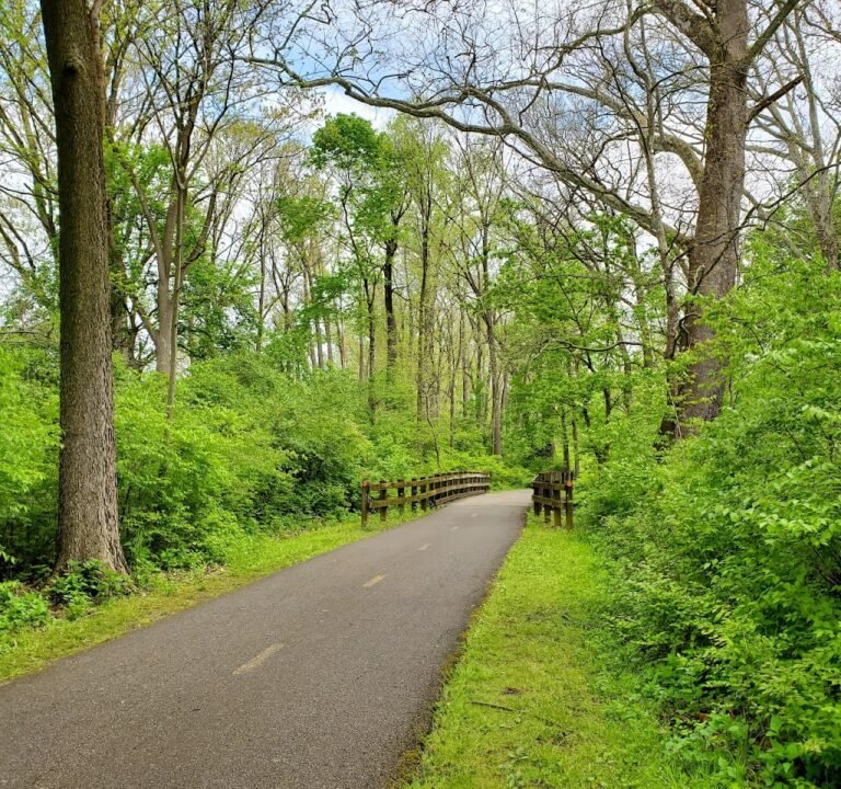 Soccer Field image 2