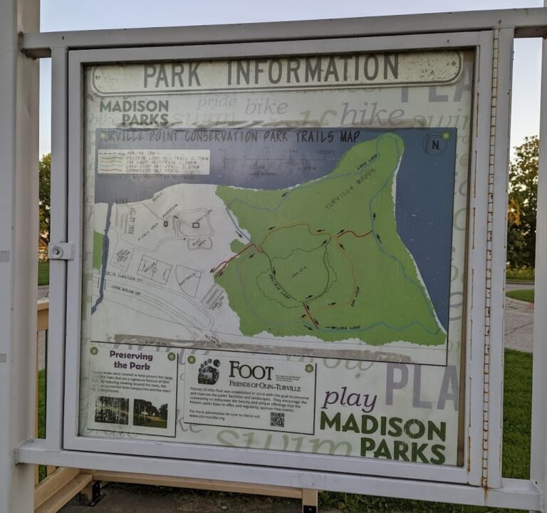 Soccer Field image 3