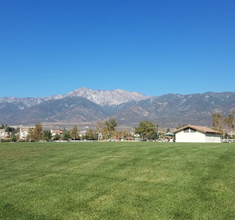 Soccer Field image 3