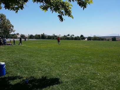 Soccer Field image 1