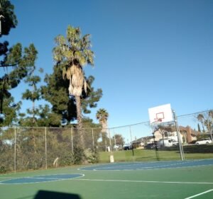 Soccer Field image 2