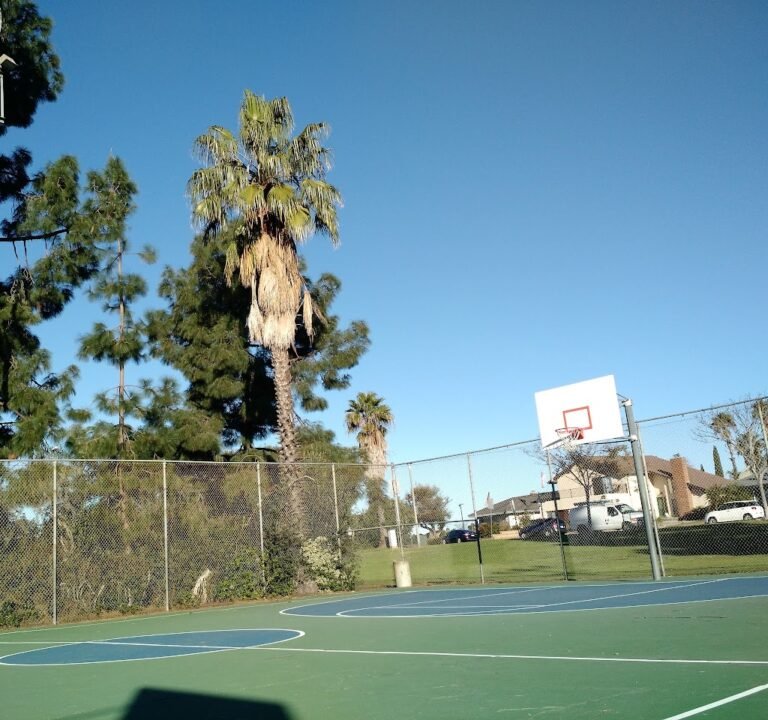 Soccer Field image 2