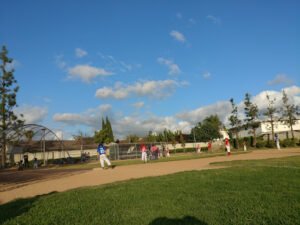 Soccer Field image 1