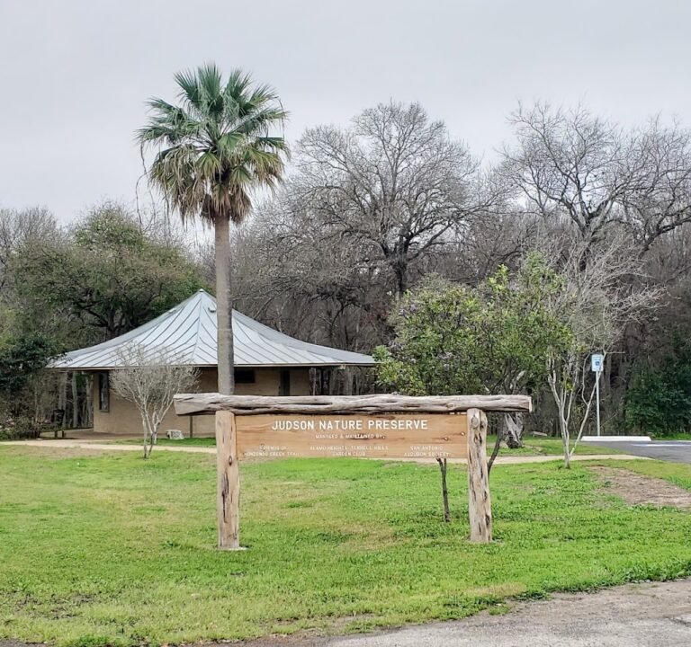 Soccer Field image 3