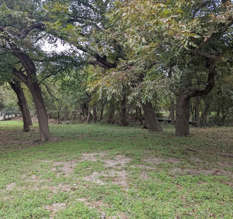 Soccer Field image 2