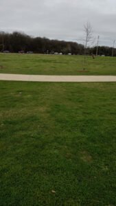 Soccer Field image 1