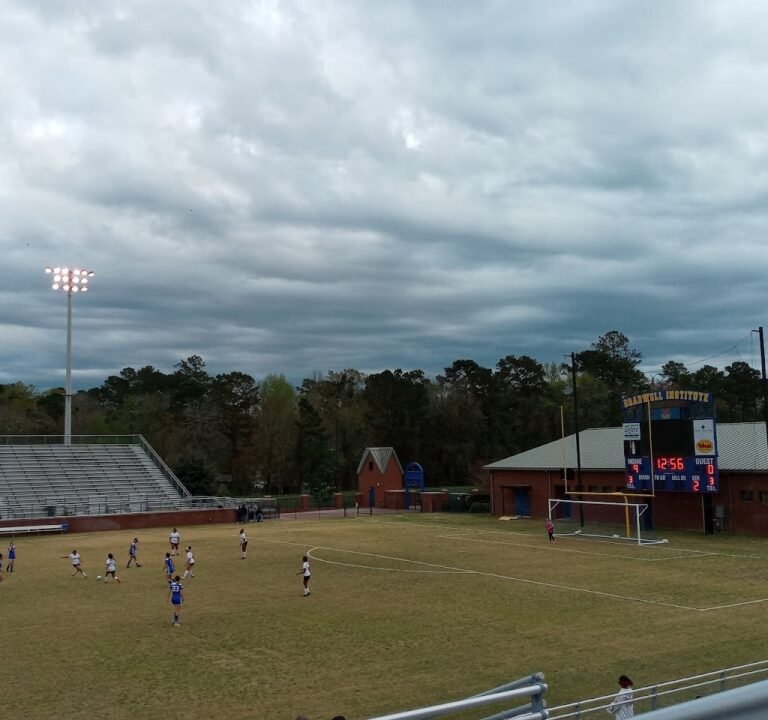 Soccer Field image 2