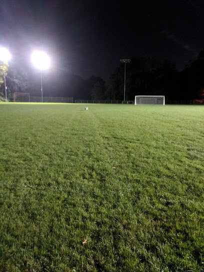 Soccer Field image 1