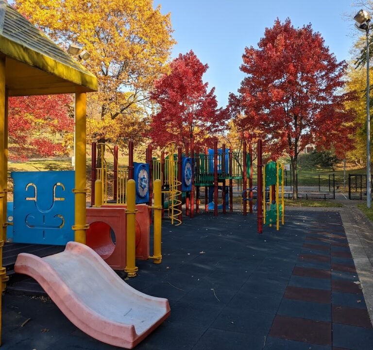 Soccer Field image 2