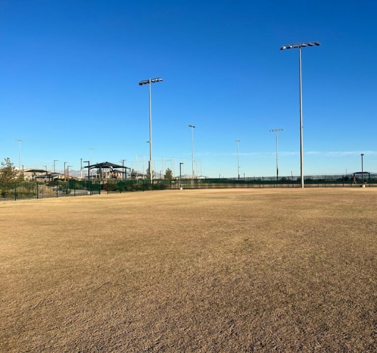 Soccer Field image 3