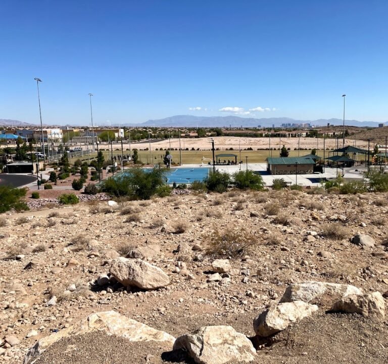 Soccer Field image 2