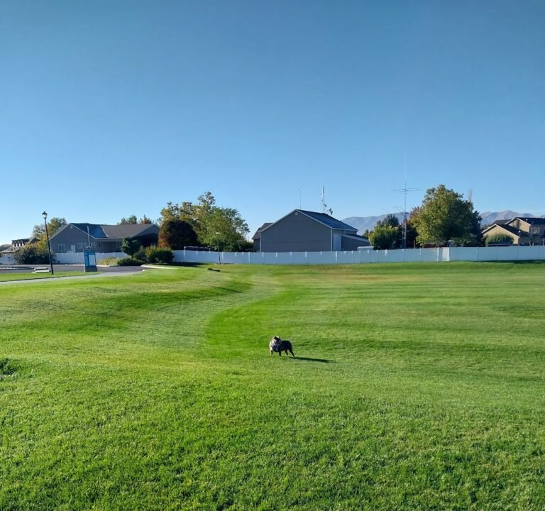 Soccer Field image 2