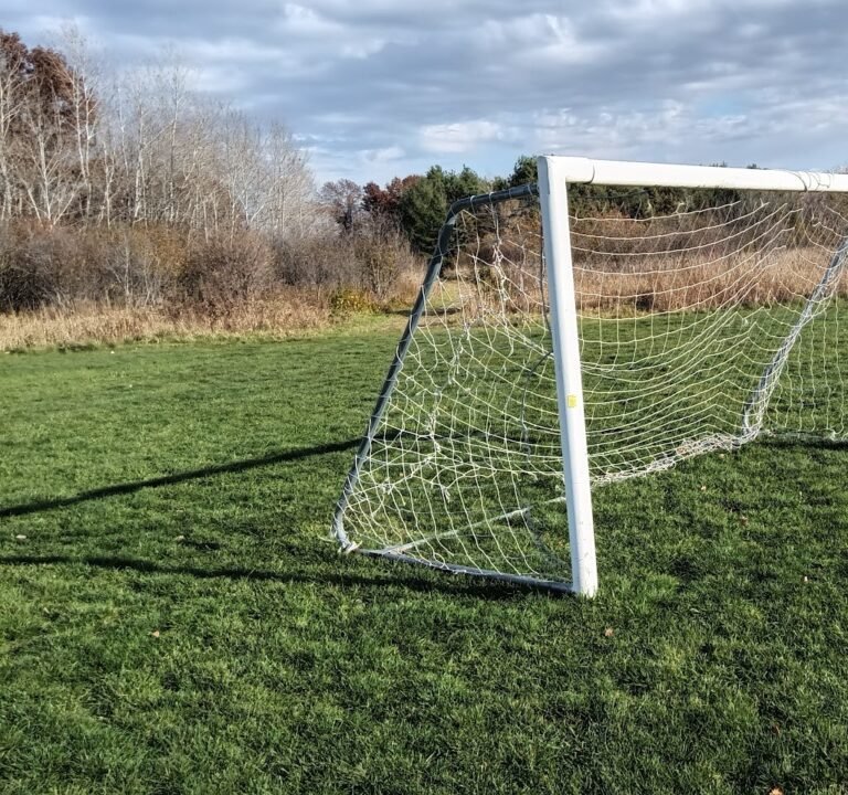 Soccer Field image 2