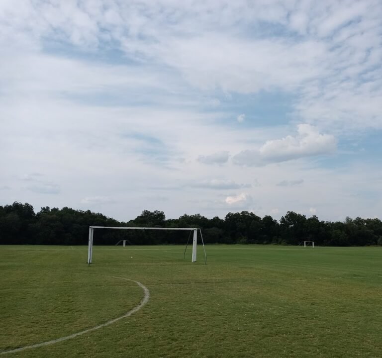 Soccer Field image 3