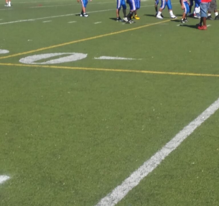 Soccer Field image 2