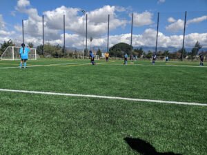 Soccer Field image 1