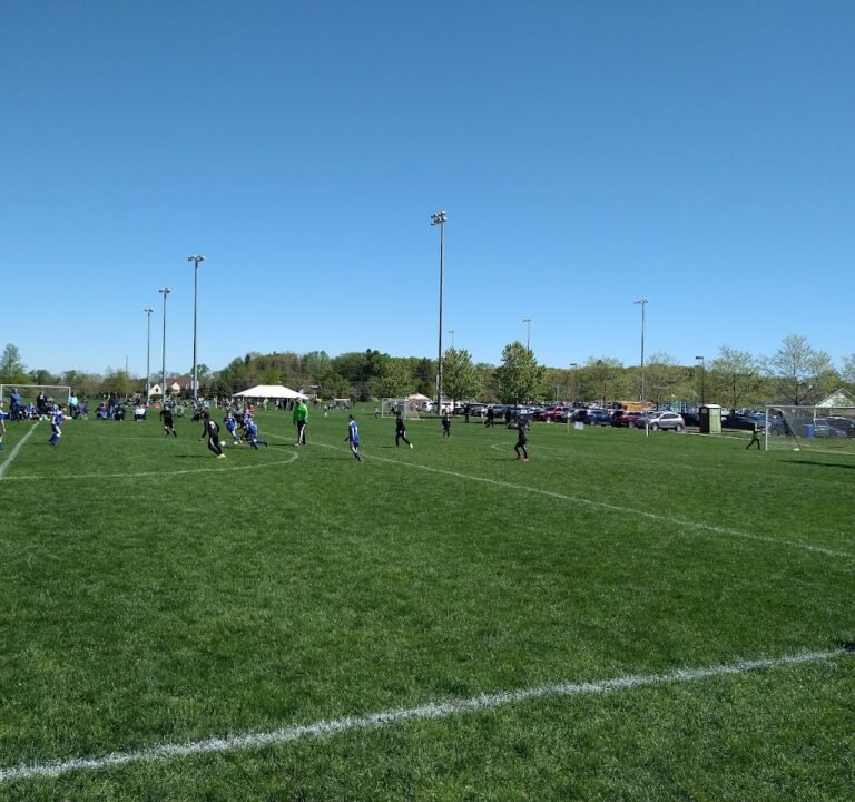 Soccer Field image 2