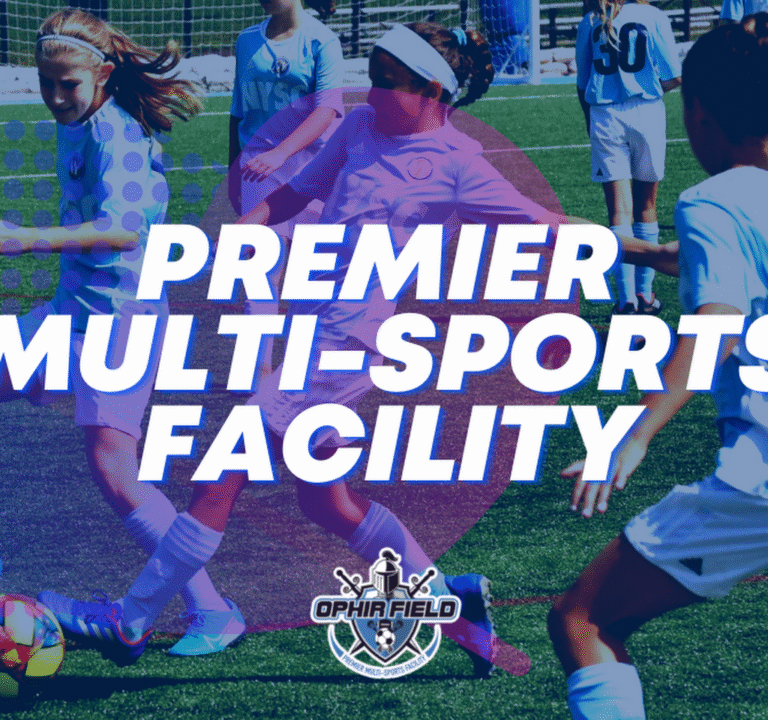 Soccer Field image 2