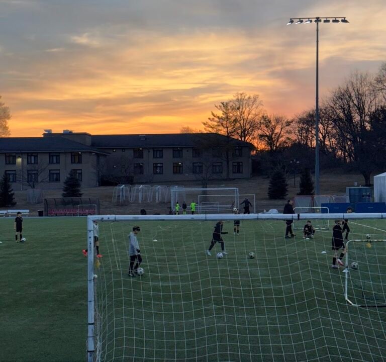 Soccer Field image 3