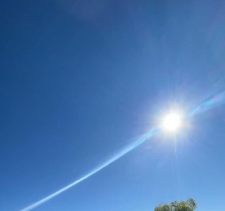 Soccer Field image 4